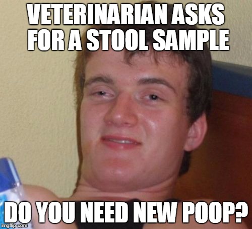 10 Guy Meme | VETERINARIAN ASKS FOR A STOOL SAMPLE DO YOU NEED NEW POOP? | image tagged in memes,10 guy | made w/ Imgflip meme maker