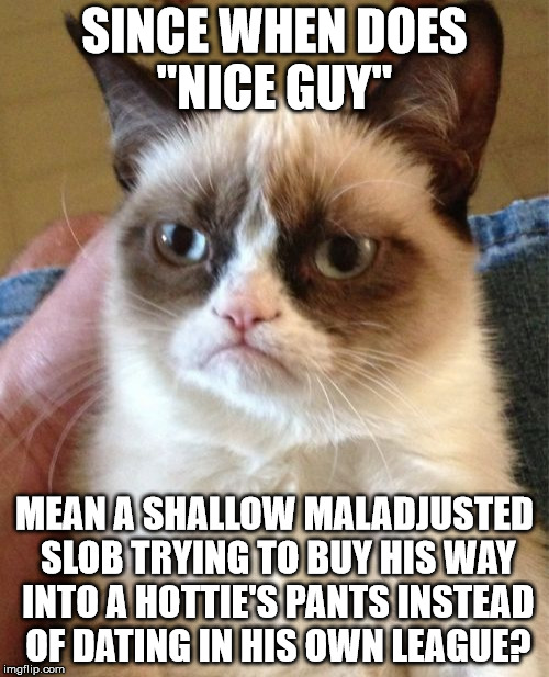 Grumpy Cat | SINCE WHEN DOES "NICE GUY" MEAN A SHALLOW MALADJUSTED SLOB TRYING TO BUY HIS WAY INTO A HOTTIE'S PANTS INSTEAD OF DATING IN HIS OWN LEAGUE? | image tagged in memes,grumpy cat | made w/ Imgflip meme maker