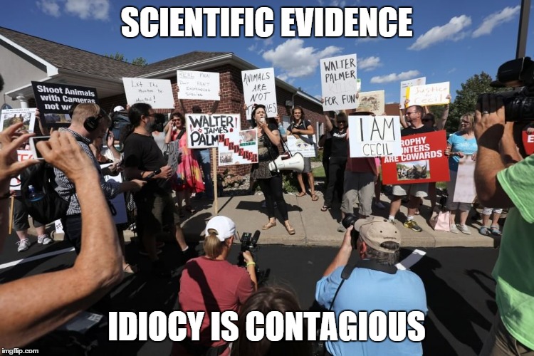 Go Vegan! | SCIENTIFIC EVIDENCE IDIOCY IS CONTAGIOUS | image tagged in cecil,lion,dentist | made w/ Imgflip meme maker