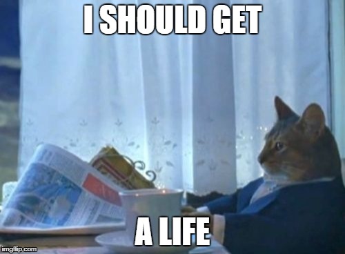 Realized this today. | I SHOULD GET A LIFE | image tagged in memes,i should buy a boat cat | made w/ Imgflip meme maker