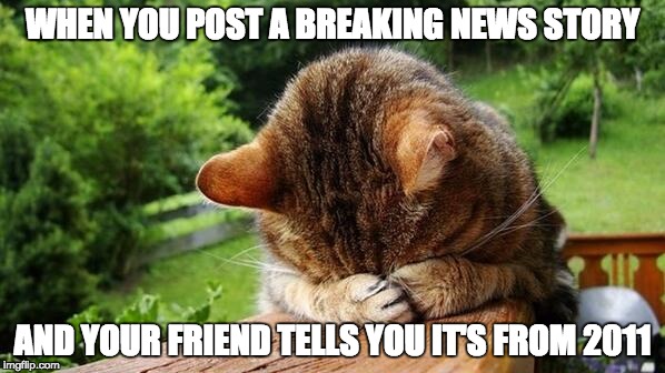 Embarrassed Cat | WHEN YOU POST A BREAKING NEWS STORY AND YOUR FRIEND TELLS YOU IT'S FROM 2011 | image tagged in embarrassed cat | made w/ Imgflip meme maker