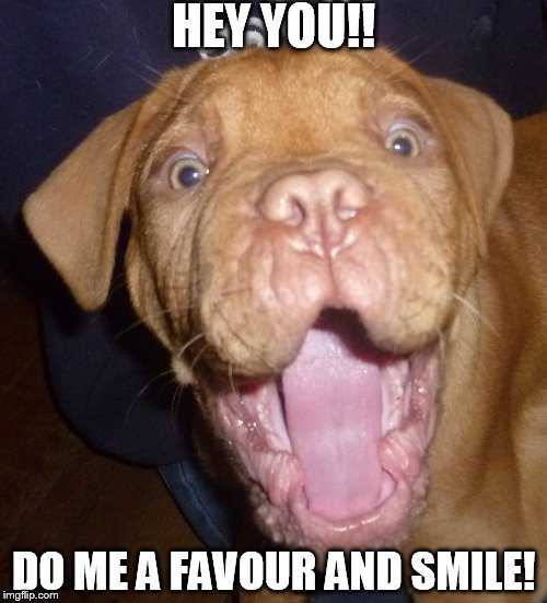 Smile | HEY YOU!! DO ME A FAVOUR AND SMILE! | image tagged in smile | made w/ Imgflip meme maker