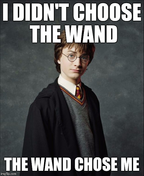 #ThugLife | I DIDN'T CHOOSE THE WAND THE WAND CHOSE ME | image tagged in harry potter,memes | made w/ Imgflip meme maker