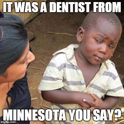 Third World Skeptical Kid | IT WAS A DENTIST FROM MINNESOTA YOU SAY? | image tagged in memes,third world skeptical kid | made w/ Imgflip meme maker