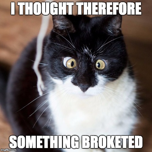 I THOUGHT THEREFORE SOMETHING BROKETED | image tagged in crosseye kitty | made w/ Imgflip meme maker