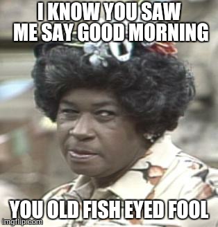 AUNT ESTHER | I KNOW YOU SAW ME SAY GOOD MORNING YOU OLD FISH EYED FOOL | image tagged in aunt esther | made w/ Imgflip meme maker