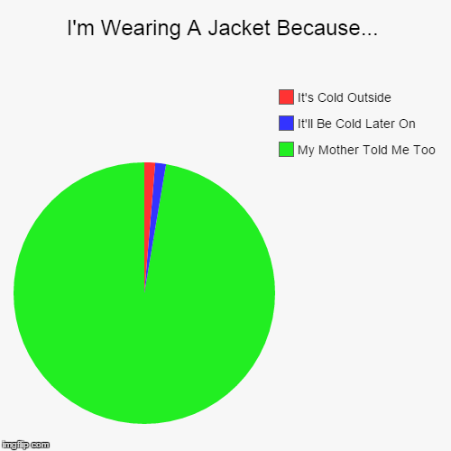 I'm Wearing A Jacket Because... | image tagged in memes,pie charts,mother,cold,truth | made w/ Imgflip chart maker