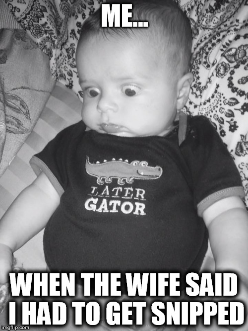 ME... WHEN THE WIFE SAID I HAD TO GET SNIPPED | image tagged in krazykaleb | made w/ Imgflip meme maker