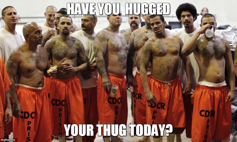Hug your Thug | HAVE YOU  HUGGED YOUR THUG TODAY? | image tagged in hug your thug | made w/ Imgflip meme maker