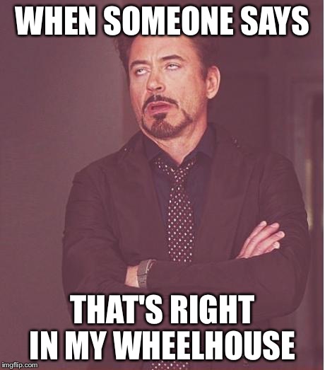 Face You Make Robert Downey Jr | WHEN SOMEONE SAYS THAT'S RIGHT IN MY WHEELHOUSE | image tagged in memes,face you make robert downey jr | made w/ Imgflip meme maker