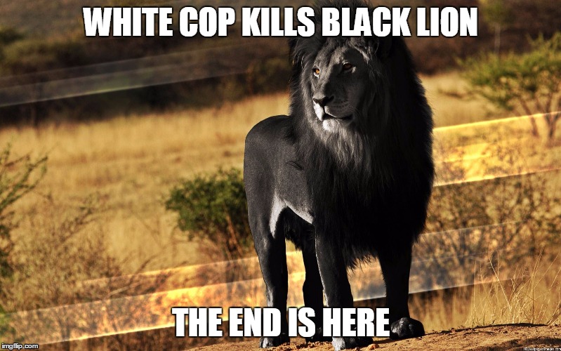 White Cop Kills Black Lion | WHITE COP KILLS BLACK LION THE END IS HERE | image tagged in black lion,racism,hypocrisy,riots | made w/ Imgflip meme maker