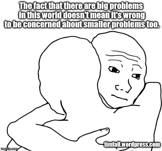 Small Problems Count Too | The fact that there are big problems in this world doesn't mean it's wrong to be concerned about smaller problems too. timfall.wordpress.com | image tagged in memes,i know that feel bro,problems,comforting others | made w/ Imgflip meme maker