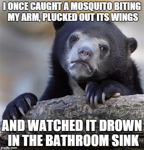 Confession Bear | I ONCE CAUGHT A MOSQUITO BITING MY ARM, PLUCKED OUT ITS WINGS AND WATCHED IT DROWN IN THE BATHROOM SINK | image tagged in memes,confession bear,AdviceAnimals | made w/ Imgflip meme maker