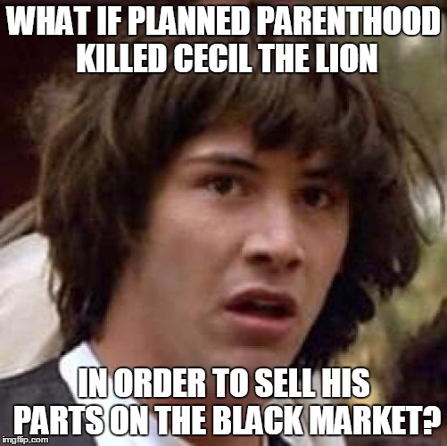 It makes about as much sense as anything else they're being accused of, right? | WHAT IF PLANNED PARENTHOOD KILLED CECIL THE LION IN ORDER TO SELL HIS PARTS ON THE BLACK MARKET? | image tagged in memes,conspiracy keanu | made w/ Imgflip meme maker