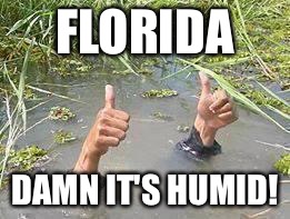 underWater | FLORIDA DAMN IT'S HUMID! | image tagged in underwater | made w/ Imgflip meme maker
