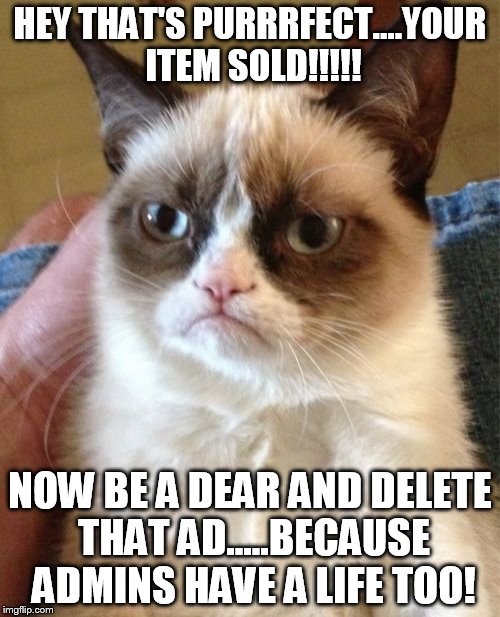 Grumpy Cat Meme | HEY THAT'S PURRRFECT....YOUR ITEM SOLD!!!!! NOW BE A DEAR AND DELETE THAT AD.....BECAUSE ADMINS HAVE A LIFE TOO! | image tagged in memes,grumpy cat | made w/ Imgflip meme maker