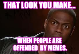 Kevin Hart | THAT LOOK YOU MAKE... WHEN PEOPLE ARE OFFENDED  BY MEMES. | image tagged in memes,kevin hart the hell | made w/ Imgflip meme maker