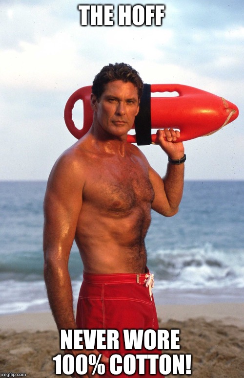Hoff | THE HOFF NEVER WORE 100% COTTON! | image tagged in david hasselhoff | made w/ Imgflip meme maker