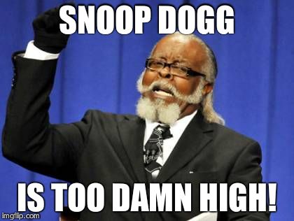 Too Damn High | SNOOP DOGG IS TOO DAMN HIGH! | image tagged in memes,too damn high | made w/ Imgflip meme maker