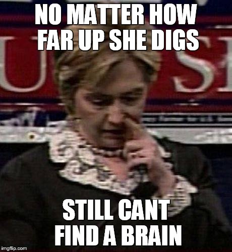 Hillary Picking | NO MATTER HOW FAR UP SHE DIGS STILL CANT FIND A BRAIN | image tagged in hillary picking | made w/ Imgflip meme maker