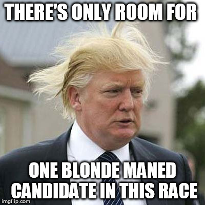 THERE'S ONLY ROOM FOR ONE BLONDE MANED CANDIDATE IN THIS RACE | made w/ Imgflip meme maker