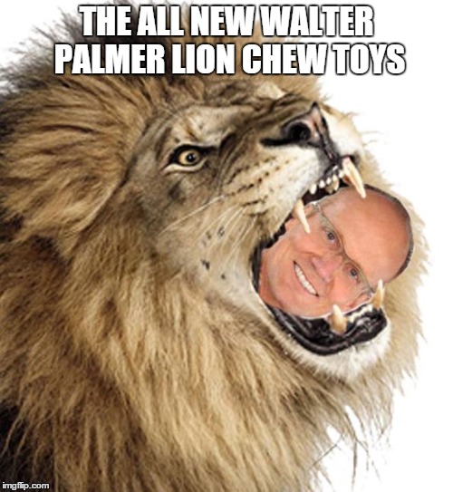 cecil | THE ALL NEW WALTER PALMER LION CHEW TOYS | image tagged in walter palmer | made w/ Imgflip meme maker