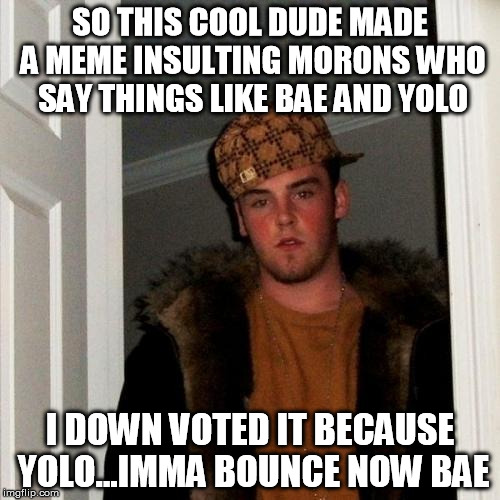 Scumbag Steve | SO THIS COOL DUDE MADE A MEME INSULTING MORONS WHO SAY THINGS LIKE BAE AND YOLO I DOWN VOTED IT BECAUSE YOLO...IMMA BOUNCE NOW BAE | image tagged in memes,scumbag steve | made w/ Imgflip meme maker