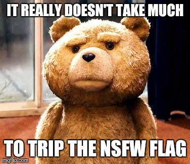 TED | IT REALLY DOESN'T TAKE MUCH TO TRIP THE NSFW FLAG | image tagged in memes,ted | made w/ Imgflip meme maker