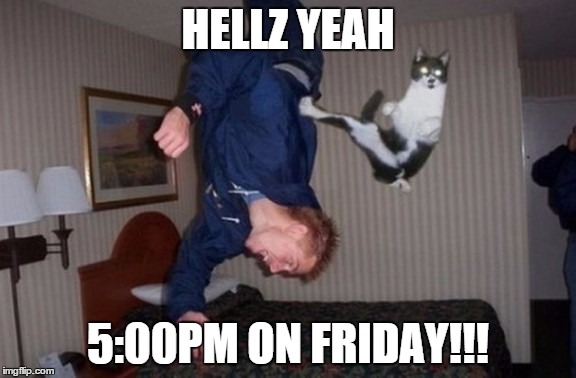 HELLZ YEAH! | HELLZ YEAH 5:00PM ON FRIDAY!!! | image tagged in tgif,friday | made w/ Imgflip meme maker
