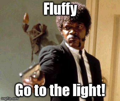 Say That Again I Dare You Meme | Fluffy Go to the light! | image tagged in memes,say that again i dare you | made w/ Imgflip meme maker