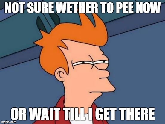 What everyone's like before they leave their house to go somewhere | NOT SURE WETHER TO PEE NOW OR WAIT TILL I GET THERE | image tagged in memes,futurama fry | made w/ Imgflip meme maker