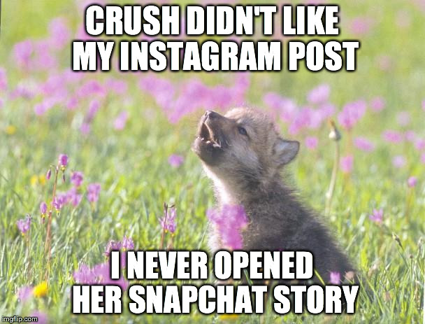 Baby Insanity Wolf Meme | CRUSH DIDN'T LIKE MY INSTAGRAM POST I NEVER OPENED HER SNAPCHAT STORY | image tagged in memes,baby insanity wolf,AdviceAnimals | made w/ Imgflip meme maker