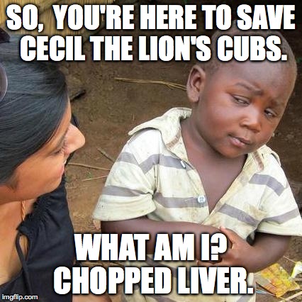 Third World Skeptical Kid Meme | SO,  YOU'RE HERE TO SAVE CECIL THE LION'S CUBS. WHAT AM I? CHOPPED LIVER. | image tagged in memes,third world skeptical kid | made w/ Imgflip meme maker