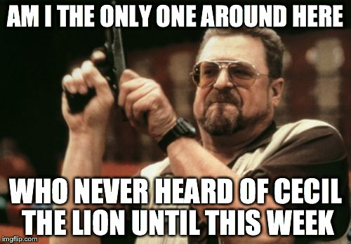 Am I The Only One Around Here Meme | AM I THE ONLY ONE AROUND HERE WHO NEVER HEARD OF CECIL THE LION UNTIL THIS WEEK | image tagged in memes,am i the only one around here,AdviceAnimals | made w/ Imgflip meme maker