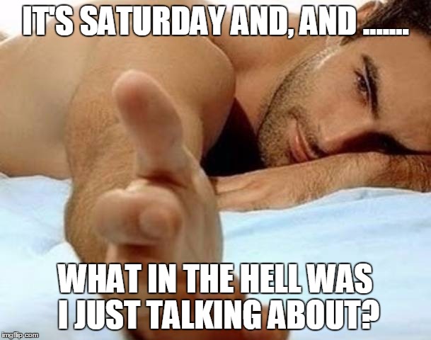 It's saturday | IT'S SATURDAY AND, AND ....... WHAT IN THE HELL WAS I JUST TALKING ABOUT? | image tagged in saturday,saturday man | made w/ Imgflip meme maker