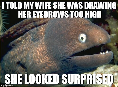 Bad Joke Eel Meme | I TOLD MY WIFE SHE WAS DRAWING HER EYEBROWS TOO HIGH SHE LOOKED SURPRISED | image tagged in memes,bad joke eel | made w/ Imgflip meme maker