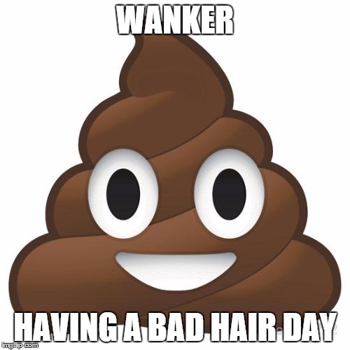 poop | WANKER HAVING A BAD HAIR DAY | image tagged in poop | made w/ Imgflip meme maker