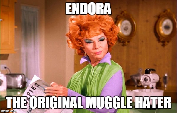 Endora, the original Muggle hater | ENDORA THE ORIGINAL MUGGLE HATER | image tagged in endora,muggle,witch | made w/ Imgflip meme maker
