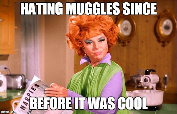 HATING MUGGLES SINCE BEFORE IT WAS COOL | image tagged in endora,hating | made w/ Imgflip meme maker