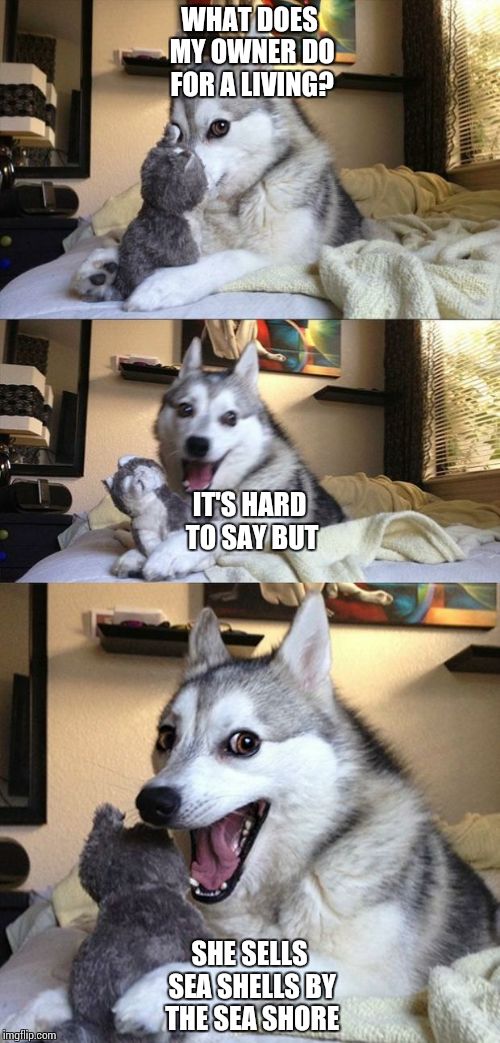 Bad Joke Dog | WHAT DOES MY OWNER DO FOR A LIVING? SHE SELLS SEA SHELLS BY THE SEA SHORE IT'S HARD TO SAY BUT | image tagged in bad joke dog | made w/ Imgflip meme maker