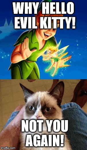 Grumpy Cat Does Not Believe Meme | WHY HELLO EVIL KITTY! NOT YOU AGAIN! | image tagged in memes,grumpy cat does not believe | made w/ Imgflip meme maker
