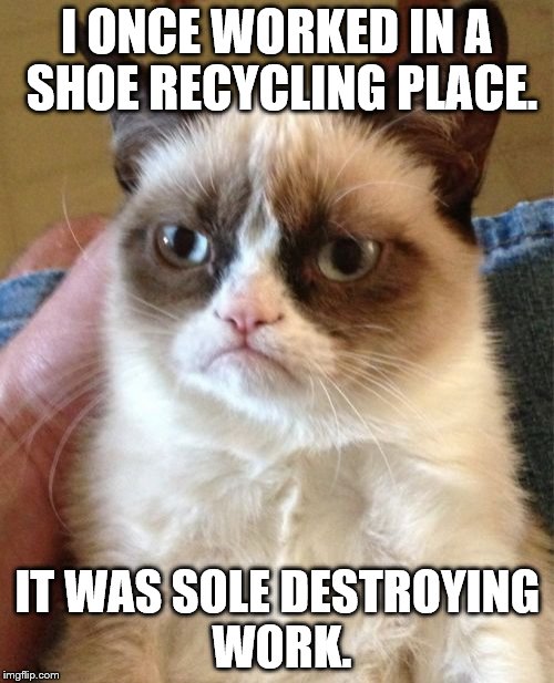 Grumpy Cat Meme | I ONCE WORKED IN A SHOE RECYCLING PLACE. IT WAS SOLE DESTROYING WORK. | image tagged in memes,grumpy cat | made w/ Imgflip meme maker