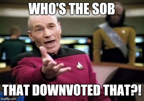 Picard Wtf Meme | WHO'S THE SOB THAT DOWNVOTED THAT?! | image tagged in memes,picard wtf | made w/ Imgflip meme maker