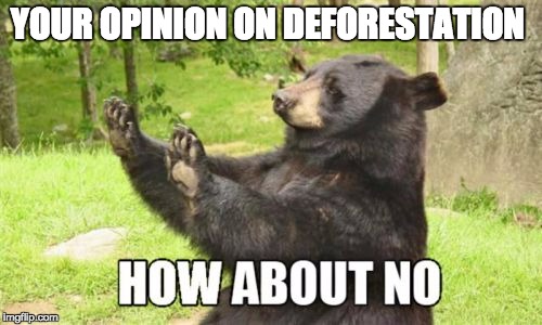 How About No Bear | YOUR OPINION ON DEFORESTATION | image tagged in memes,how about no bear | made w/ Imgflip meme maker