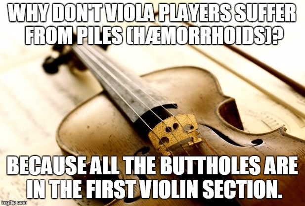 Annoying First Violins... | WHY DON'T VIOLA PLAYERS SUFFER FROM PILES (HÆMORRHOIDS)? BECAUSE ALL THE BUTTHOLES ARE IN THE FIRST VIOLIN SECTION. | image tagged in violin,orchestra,viola,first violins,haemorrhoids,piles | made w/ Imgflip meme maker