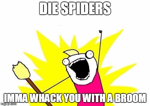 X All The Y | DIE SPIDERS IMMA WHACK YOU WITH A BROOM | image tagged in memes,x all the y | made w/ Imgflip meme maker
