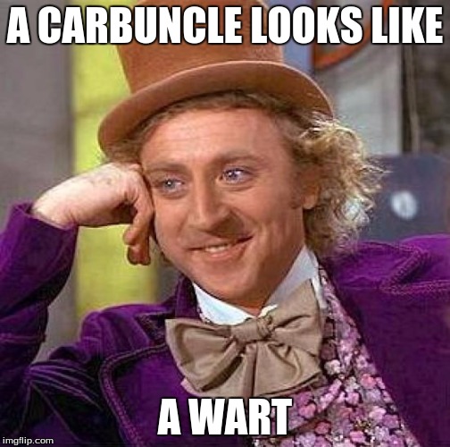 Creepy Condescending Wonka Meme | A CARBUNCLE LOOKS LIKE A WART | image tagged in memes,creepy condescending wonka | made w/ Imgflip meme maker