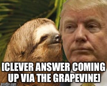 Political advice sloth | [CLEVER ANSWER COMING UP VIA THE GRAPEVINE] | image tagged in political advice sloth | made w/ Imgflip meme maker