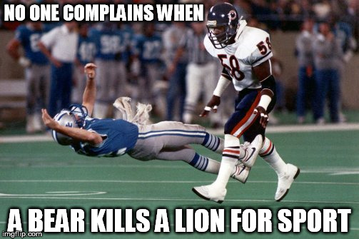 Bear kills Cecil | NO ONE COMPLAINS WHEN A BEAR KILLS A LION FOR SPORT | image tagged in cecil,wilburmarshall,chicagobears,lionkiller,fatamericandentist,lionhunter | made w/ Imgflip meme maker