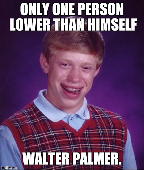 Bad Luck Brian Meme | ONLY ONE PERSON LOWER THAN HIMSELF WALTER PALMER. | image tagged in memes,bad luck brian | made w/ Imgflip meme maker